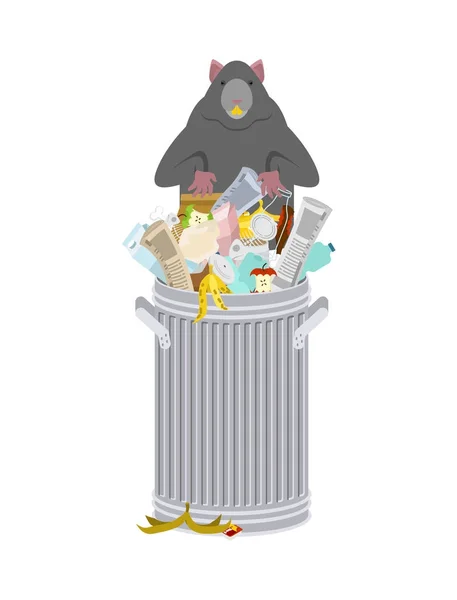 Ratte im Mülleimer. Nagetiere im Müll. große Maus im Müllcontainer. vect — Stockvektor