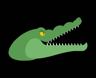 Timsah başını. Timsah namlu izole. Yırtıcı hayvan. Vect