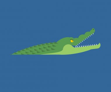 Timsah suda. Timsah Nehri. Yırtıcı hayvan. Vektör 