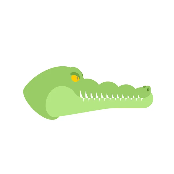Tête de crocodile. Museau d'alligator isolé. Animal prédateur. Vecte — Image vectorielle