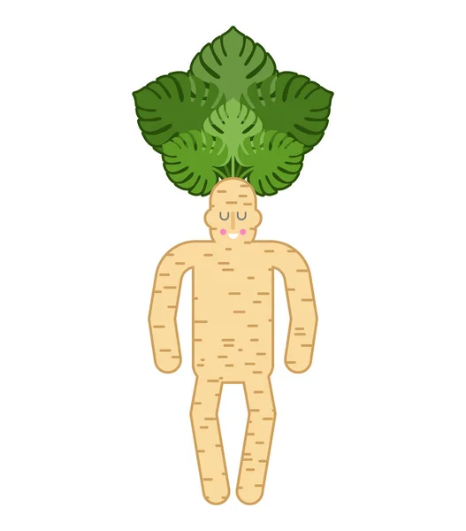 Homem-raiz Mandrake. Gravata e mala. Planta mágica. Vector illustratio — Vetor de Stock