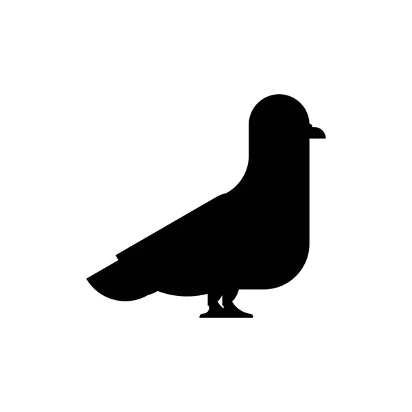 Silhouette piccione isolato. Colomba nera Illustrazione vettoriale — Vettoriale Stock