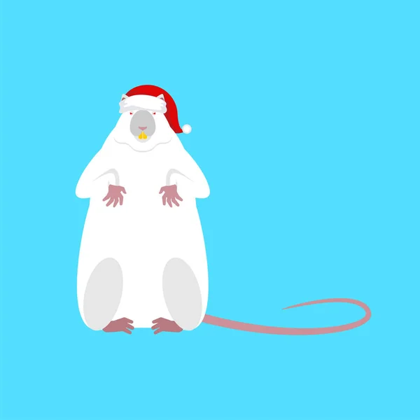 산타쥐는 2020 년을 상징합니다. 빨간 모자를 쓴 쥐입니다. 크리스마스와 N. — 스톡 벡터