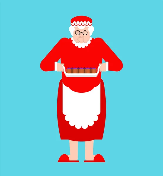 Paní Clausová je izolovaná. Vánoční a nová vektorová ilustrace — Stockový vektor