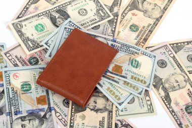dolar ve cüzdan