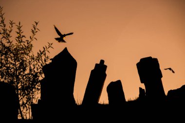 Turkey Konya, Sille Cemeteries sunset silhouette clipart