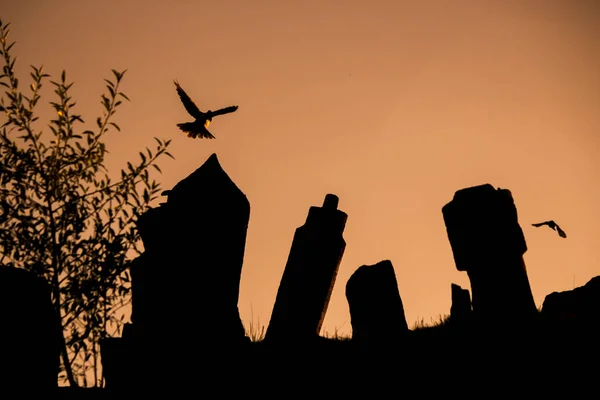 Türkei Konya Sille Friedhöfe Sonnenuntergang Silhouette lizenzfreie Stockbilder