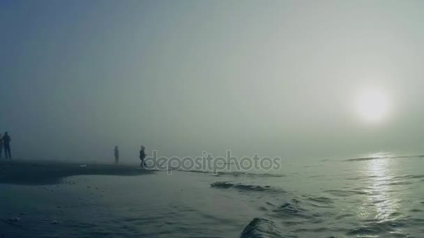 Olas Marinas Niebla Las Olas Del Mar Salpicando Con Manchas — Vídeos de Stock