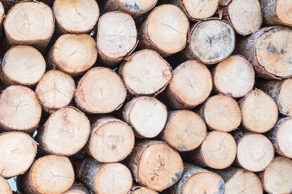 Closeup wood pattern at the pile of old wood timber textured background