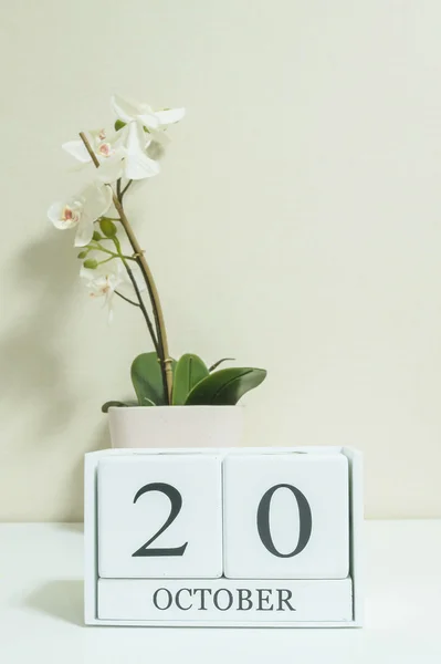 Gros plan calendrier en bois blanc avec noir 20 mot d'octobre avec fleur d'orchidée blanche sur bureau en bois blanc et papier peint de couleur crème dans la chambre fond texturé, mise au point sélective au calendrier — Photo