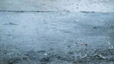 Closeup çekim yolda ağır yağmur 