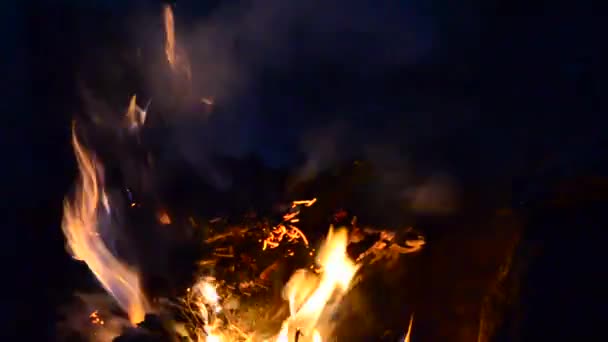 Požár Hoří Kampani — Stock video