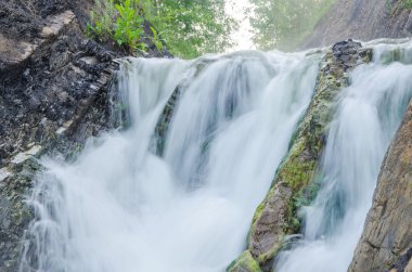 Sabah sisinde düşen su. Yoğun sabah sisinde düşen su. Uçurumdan düşen su. Bir su yüksekliğinden düşmek. Sisin içine düşen su. Yaz ormanında yoğun sabah sisi.