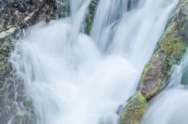 Sabah sisinde düşen su. Yoğun sabah sisinde düşen su. Uçurumdan düşen su. Bir su yüksekliğinden düşmek. Sisin içine düşen su. Yaz ormanında yoğun sabah sisi.