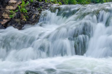 Sabah sisinde düşen su. Yoğun sabah sisinde düşen su. Uçurumdan düşen su. Bir su yüksekliğinden düşmek. Sisin içine düşen su. Yaz ormanında yoğun sabah sisi.