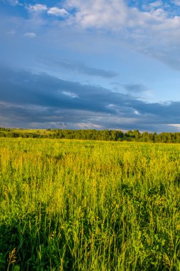 Yeşil bir açıklıkta mavi bulutlar. Yeşil çimlerde fırtına bulutları.