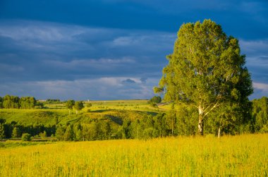 Yeşil bir açıklıkta mavi bulutlar. Yeşil çimlerde fırtına bulutları.