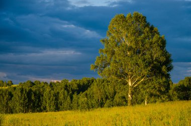 Yeşil bir açıklıkta mavi bulutlar. Yeşil çimlerde fırtına bulutları.