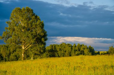 Yeşil bir açıklıkta mavi bulutlar. Yeşil çimlerde fırtına bulutları.