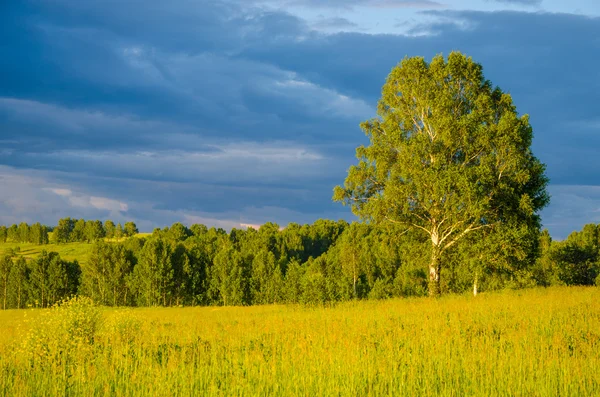 Yeşil bir açıklıkta mavi bulutlar. Yeşil çimlerde fırtına bulutları.