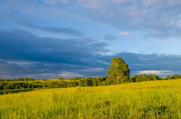 Yeşil bir açıklıkta mavi bulutlar. Yeşil çimlerde fırtına bulutları.