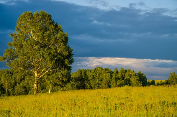 Yeşil bir açıklıkta mavi bulutlar. Yeşil çimlerde fırtına bulutları.