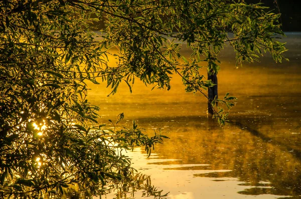 Nebel über dem Wasser . — Stockfoto