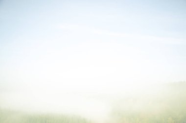 Yoğun kozalaklı ormanlarla kaplı kalın bir sis. Kuş bakışı manzaralı bir orman. Kozalaklı ağaçlar, yeşil orman çalılıkları. Yoğun kozalaklı ormanlarla kaplı sis..