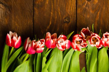 Tahtadaki kırmızı-beyaz laleler. Ağaçta bir buket lale. Tahtadaki güzel laleler.