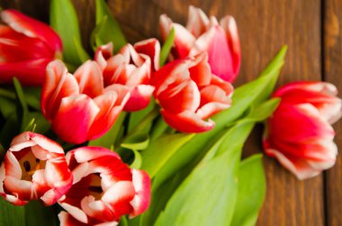 Tahtadaki kırmızı-beyaz laleler. Ağaçta bir buket lale. Tahtadaki güzel laleler.