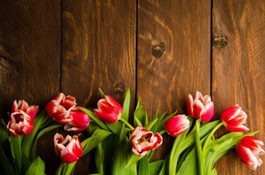 Lale ağacı üzerinde bir buket. Güzel Lale ahşap kurullarında. Kırmızı-beyaz laleler ahşap kurullarında.