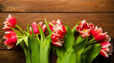 Lale ağacı üzerinde bir buket. Güzel Lale ahşap kurullarında. Kırmızı-beyaz laleler ahşap kurullarında.