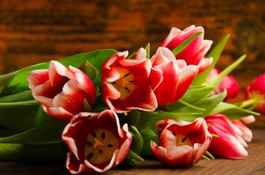 Lale ağacı üzerinde bir buket. Güzel Lale ahşap kurullarında. Kırmızı-beyaz laleler ahşap kurullarında.