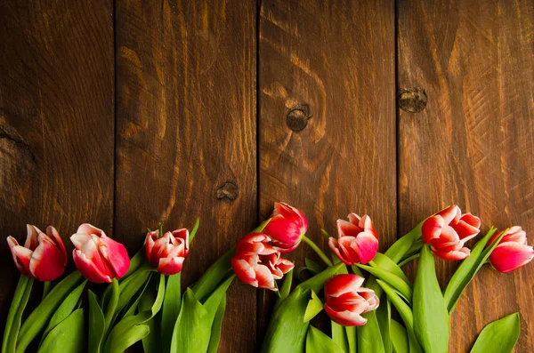 Red-white tulips on wooden boards. A bouquet of tulips on a tree. Beautiful tulips on wooden boards.