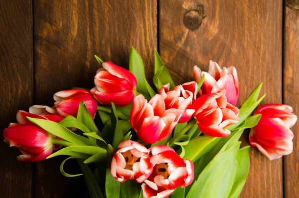 Rot Weiße Tulpen Auf Holzbrettern Ein Strauß Tulpen Auf Einem — Stockfoto