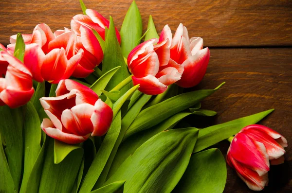 Ein Strauß Tulpen auf einem Baum. schöne Tulpen auf Holzbrettern. rot-weiße Tulpen auf Holzbrettern. — Stockfoto