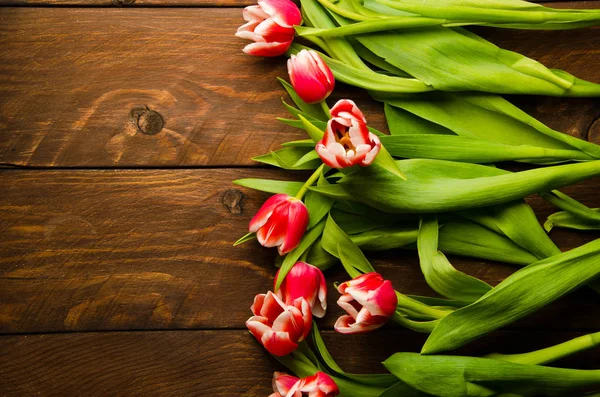 Ein Strauß Tulpen auf einem Baum. schöne Tulpen auf Holzbrettern. rot-weiße Tulpen auf Holzbrettern. — Stockfoto