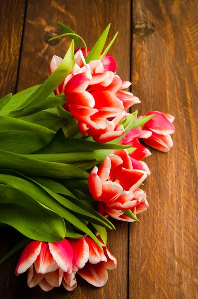 Ein Strauß Tulpen auf einem Baum. schöne Tulpen auf Holzbrettern. rot-weiße Tulpen auf Holzbrettern. — Stockfoto