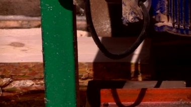 Orman büyük bir kereste değirmeninin üzerine dikildi.