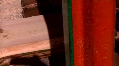 Orman büyük bir kereste değirmeninin üzerine dikildi.