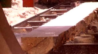 Orman büyük bir kereste değirmeninin üzerine dikildi.