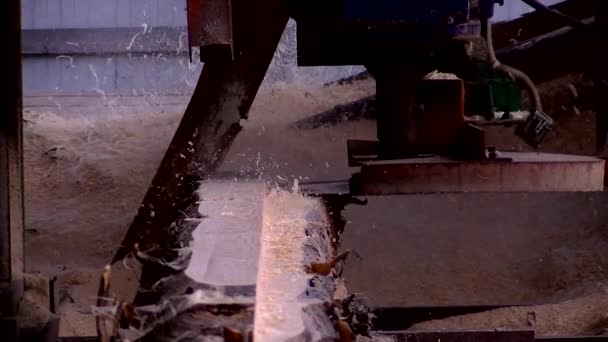 Forest Sawn Large Sawmill — Stock Video