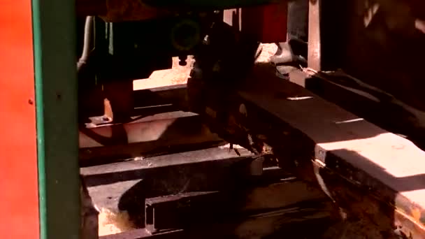 Forest Sawn Large Sawmill — Stock Video