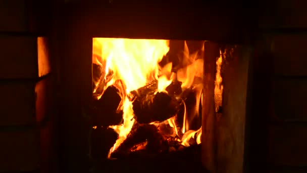 Leña Ardiendo Chimenea — Vídeo de stock