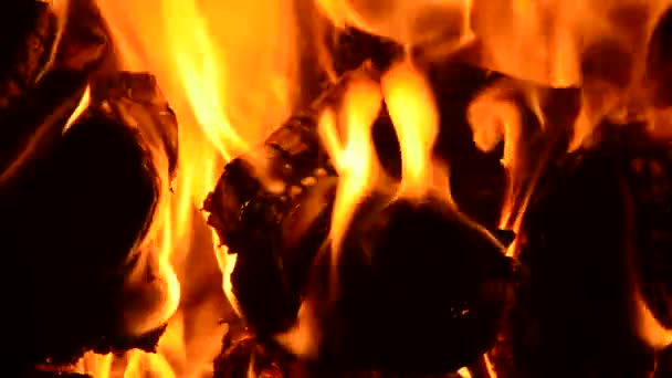 Das Holz Das Kamin Brennt — Stockvideo