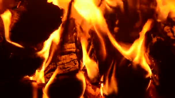 壁炉里燃烧的木柴 — 图库视频影像