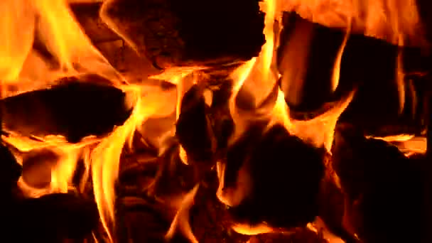 Leña Ardiendo Chimenea — Vídeos de Stock