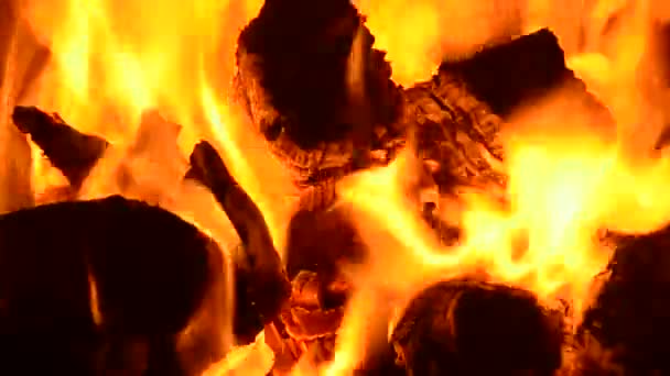 壁炉里燃烧的木柴 — 图库视频影像