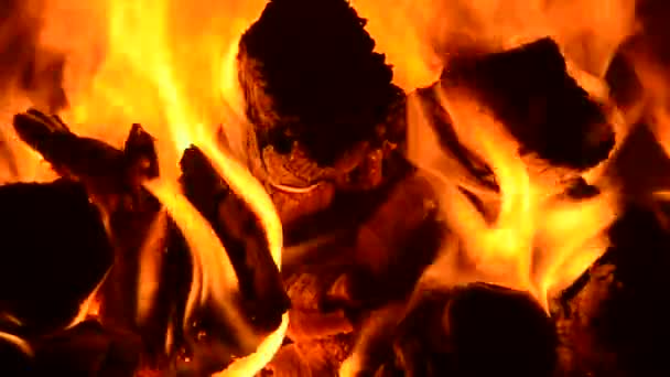 Κάψιμο Του Ξύλου Στο Τζάκι — Αρχείο Βίντεο