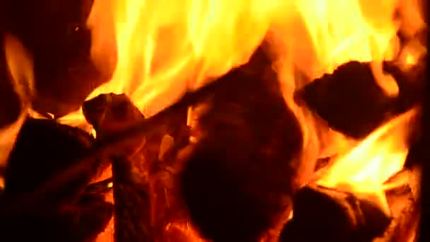 Das Holz Das Kamin Brennt — Stockvideo